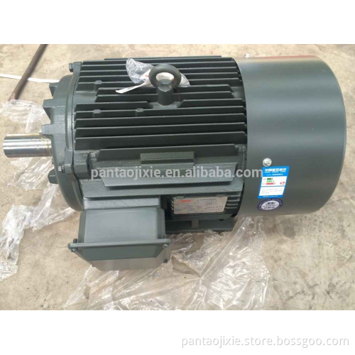 three phase Standard Electric Motor